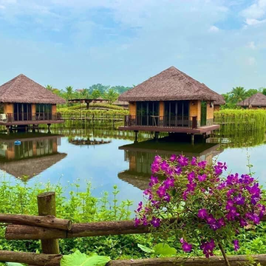 5 Ưu Điểm Khi Dùng Rơm Nhân Tạo Ở Làng Trong Thung 5 Những căn bungalow mái rơm nhân tạo nổi trên mặt hồ tĩnh lặng, được bao quanh bởi hàng rào gỗ và hoa tím – tạo nên không gian nghỉ dưỡng gần gũi thiên nhiên, đầy màu sắc.