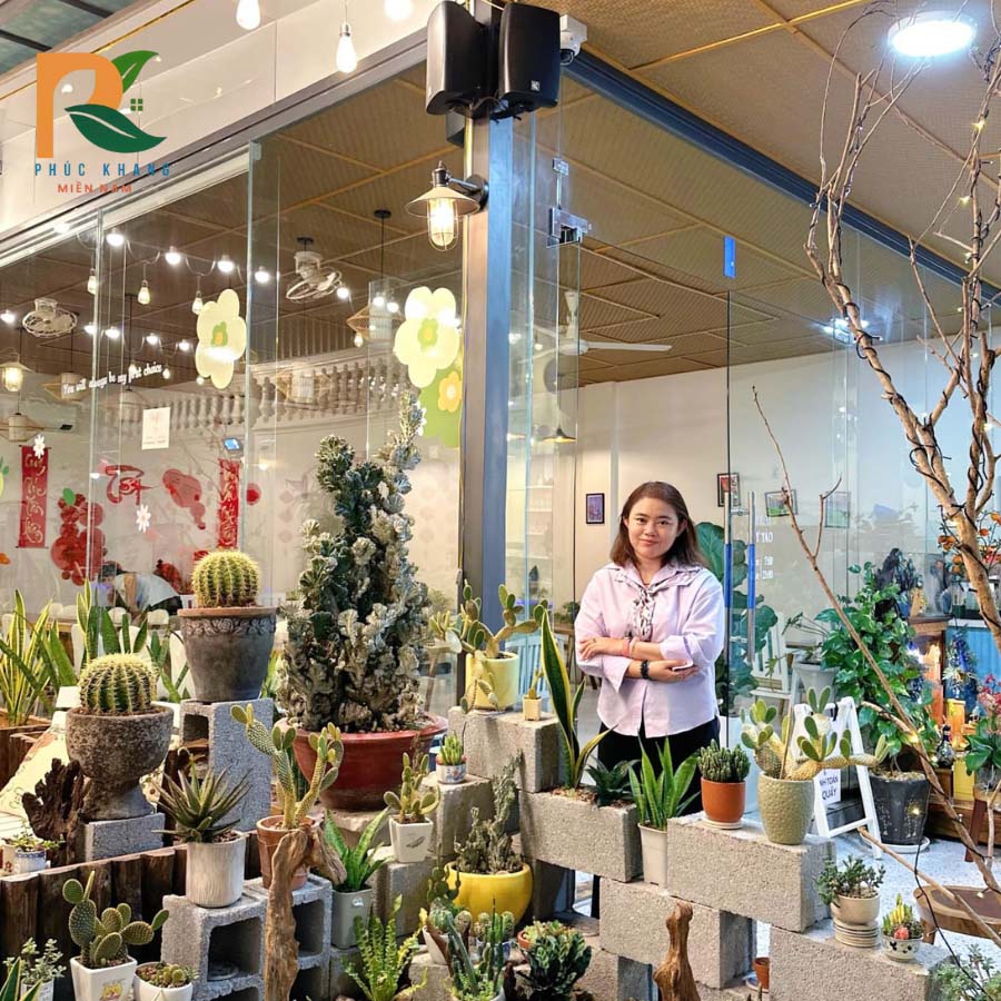 4 điểm khiến cót ép nhân tạo trở thành lựa chọn lý tưởng của The Chill Gourmet 5 Không gian trưng bày cây cảnh và đồ trang trí bên trong quán cafe, trần cót ép nhân tạo tạo nền ấm.
