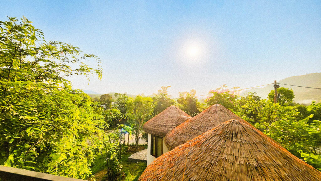 Vì Sao 90% Resort Chọn Rơm Nhân Tạo Làm Mái? Dự Án V Village Đà Nẵng Là Ví Dụ Điển Hình 2 Những mái nhà được làm từ rơm nhân tạo nổi bật giữa rừng cây dưới ánh sáng ban mai.