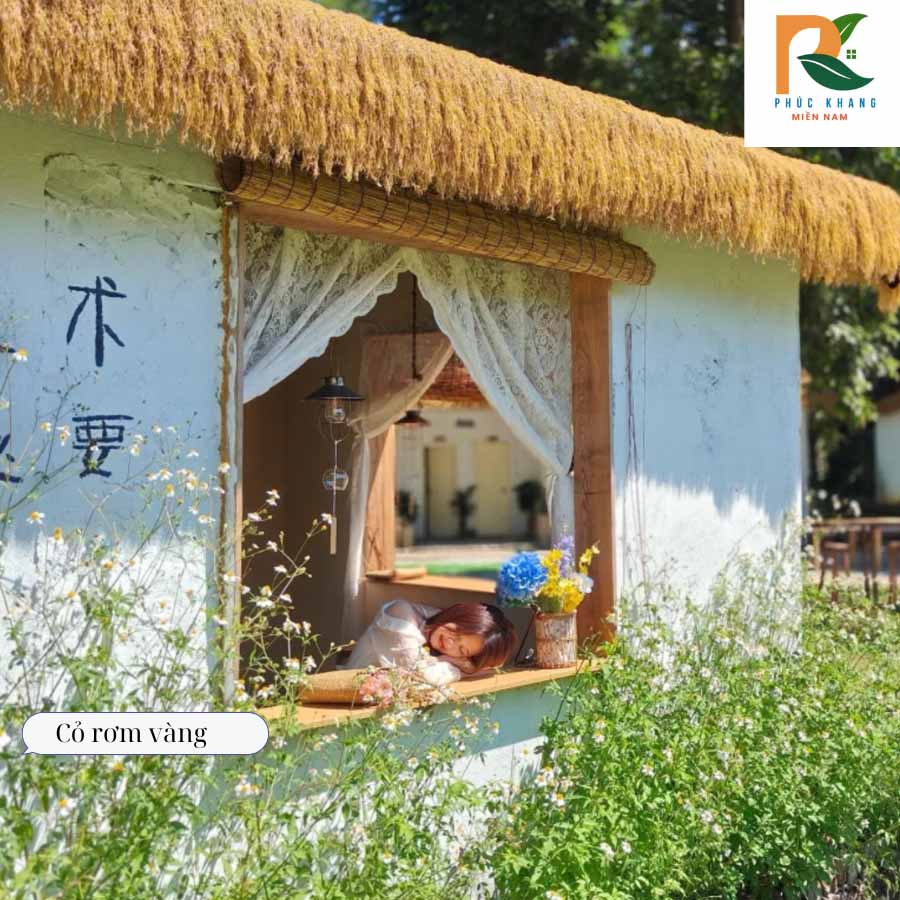 Cỏ Rơm Vàng – Giải Pháp Lợp Mái Siêu Tiết Kiệm Cho Quán Cafe, Homestay 2025 4 Quán cafe sân vườn lợp mái cỏ rơm vàng