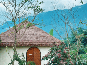 Rơm nhân tạo lợp mái