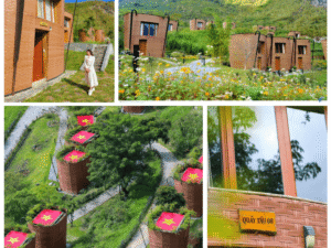Ảnh đại diện trần cót ép nhân tạo Hà Giang