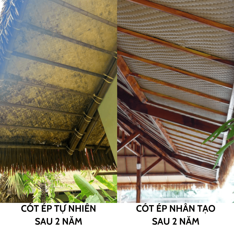 Tại Sao Cót Ép Nhựa Đang Dần Thay Thế Tre Nứa Thật Trong Trang Trí Năm 2025? 7 So sánh độ bền giữ cót ép tự nhiên và cót ép nhân tạo