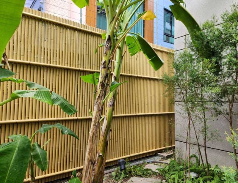 Biến Hóa Không Gian Xanh Với Hàng Rào Tre Nhân Tạo Đầy Ấn Tượng 2025 1 Trong quá trình đô thị hóa và hiện đại hóa không ngừng, nhu cầu về không gian xanh ngày càng trở nên cấp thiết để nâng cao chất lượng sống. Hàng rào tre – biểu tượng của sự mộc mạc và gần gũi – từ lâu đã gắn liền với những khu vườn xanh mát, yên bình. Ngày nay, nhờ ứng dụng công nghệ hiện đại, hàng rào tre nhân tạo đã ra đời như một giải pháp thay thế tối ưu. Không chỉ khắc phục những hạn chế của hàng rào tre tự nhiên, sản phẩm còn giữ nguyên được vẻ đẹp tự nhiên, thân thiện, góp phần tạo nên không gian sống trong lành và thẩm mỹ.