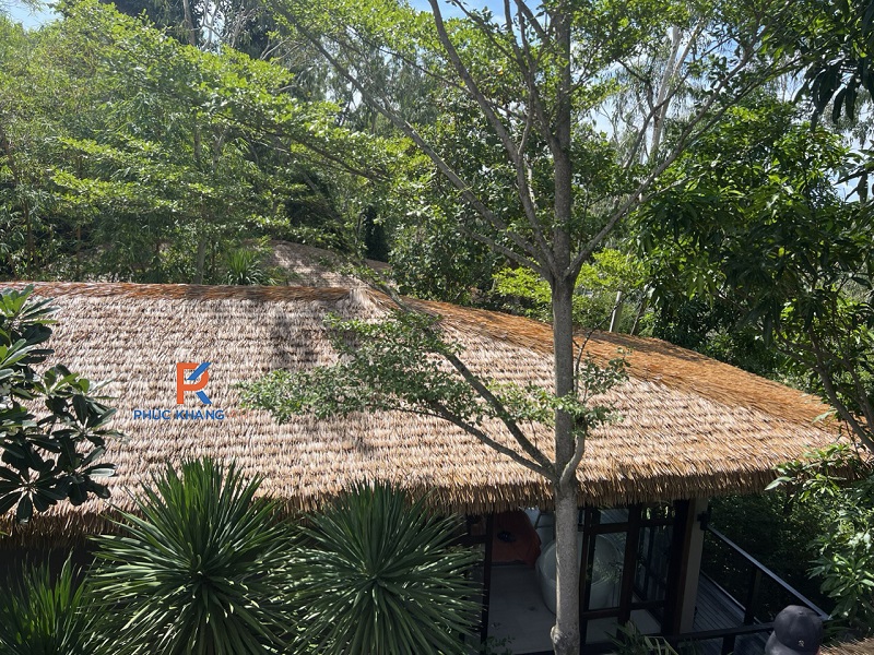 Từ Làng Quê Đến Resort 5 Sao: Hành Trình "Biến Hình" Của Lá Dừa Nhân Tạo 2 Thay mới mái lá dừa tự nhiên bằng lá dừa nhân tạo
