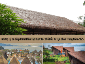 ly do chu dau tu chon rom nhan tao