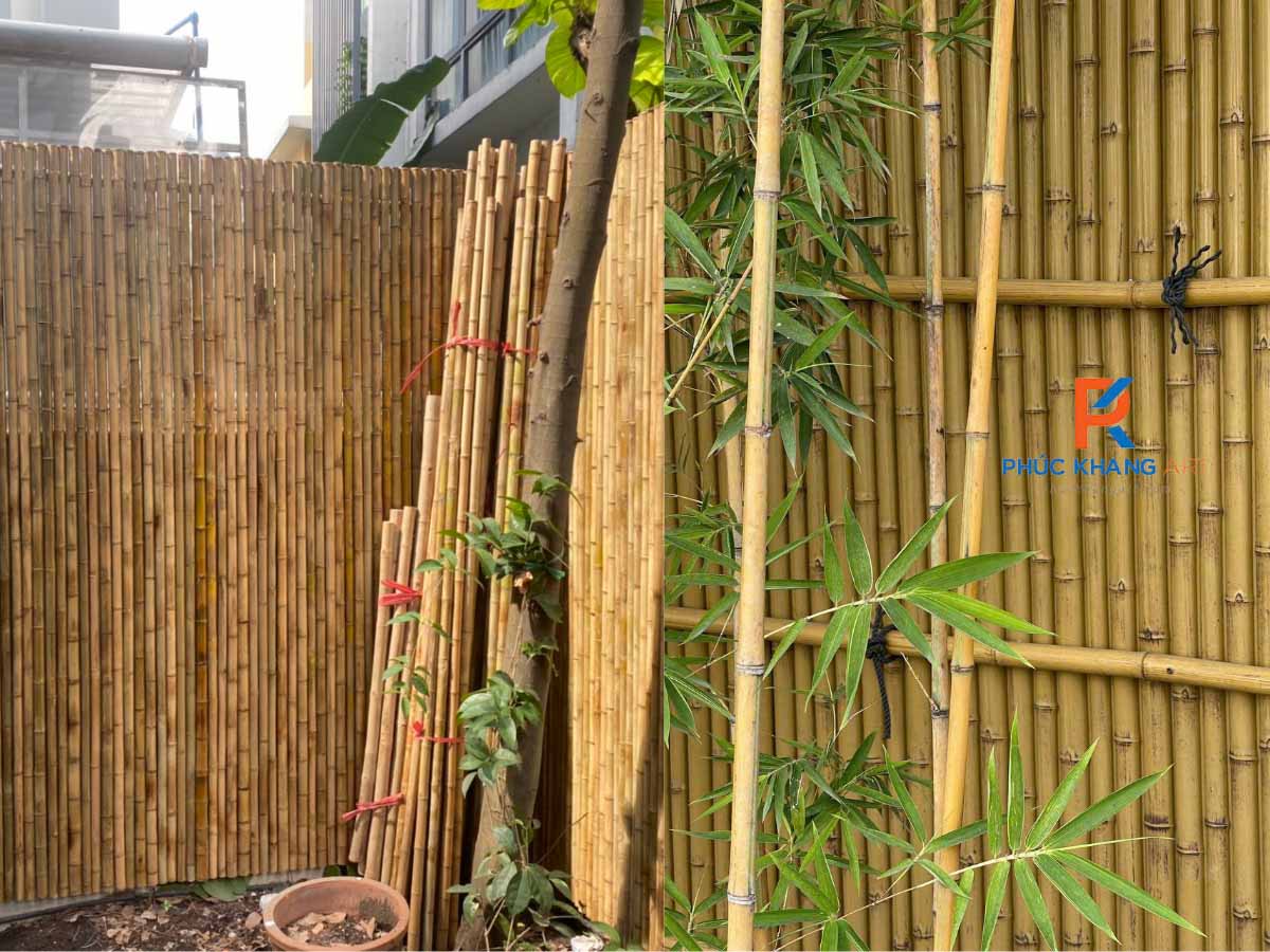 5 Lợi Ích Vượt Trội Của Tre Nhựa So Với Tre Tự Nhiên 1 Hình ảnh so sánh thực tế giữa tre nhựa và tre tự nhiên