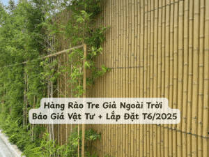 Them tieu de phu 2025 06 06T144712.540 min