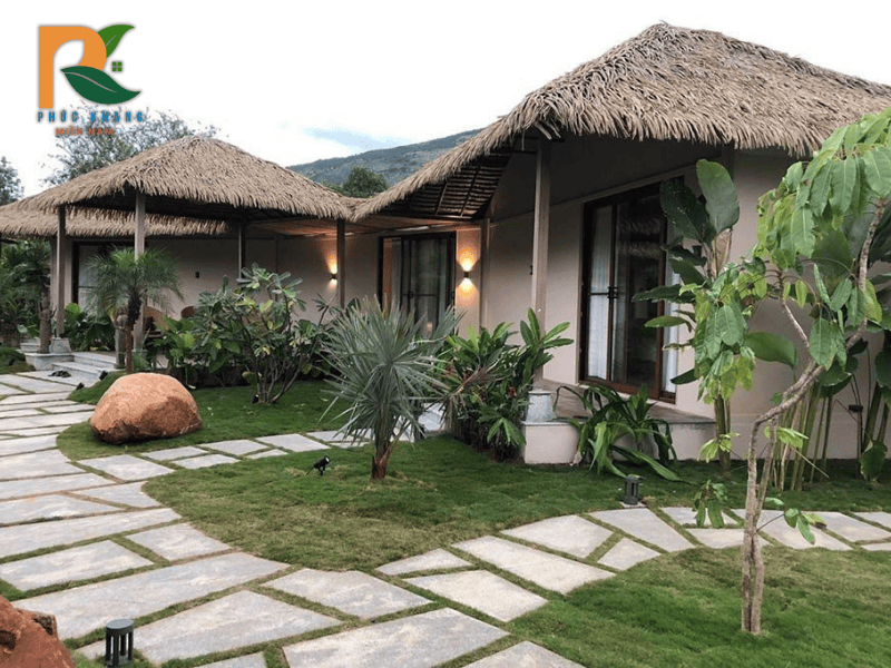 Câu Chuyện Và Lịch Sử Ra Đời Của Tấm Rơm Nhân Tạo 2025 3 Thiet ke chua co ten 7