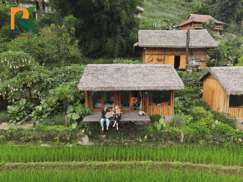 Câu Chuyện Và Lịch Sử Ra Đời Của Tấm Rơm Nhân Tạo 2025 6 Thiet ke chua co ten 9