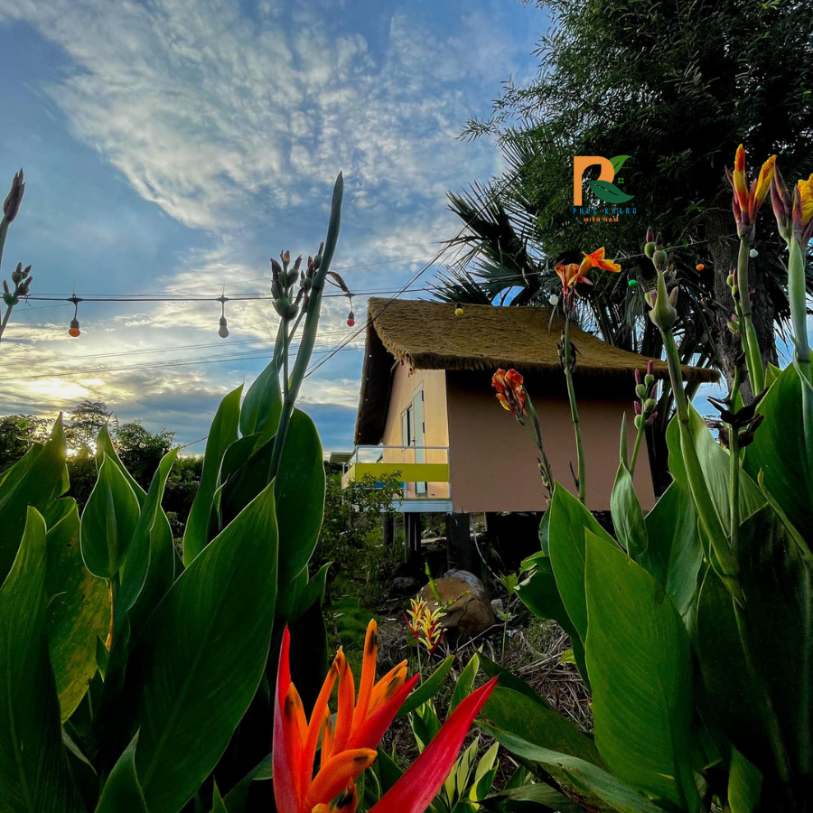 The Hill Coffee & Camping – Không Gian Chill Với Thảm Rơm Nhân Tạo Bền Đẹp 2025 3 tham rom nhan tao the hill 2