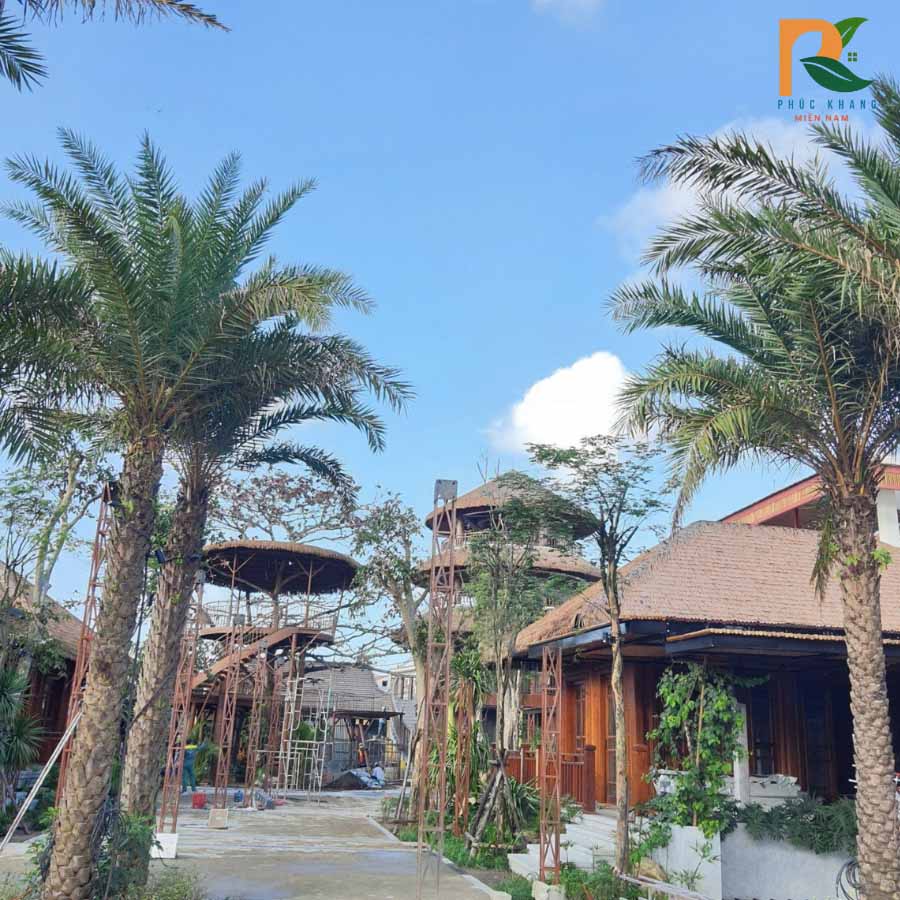 Rơm Nhân Tạo Hội An – Công Trình Thực Tế Lợp Mái Nhà Hàng 2025 4 Nhà hàng lợp rơm nhân tạo