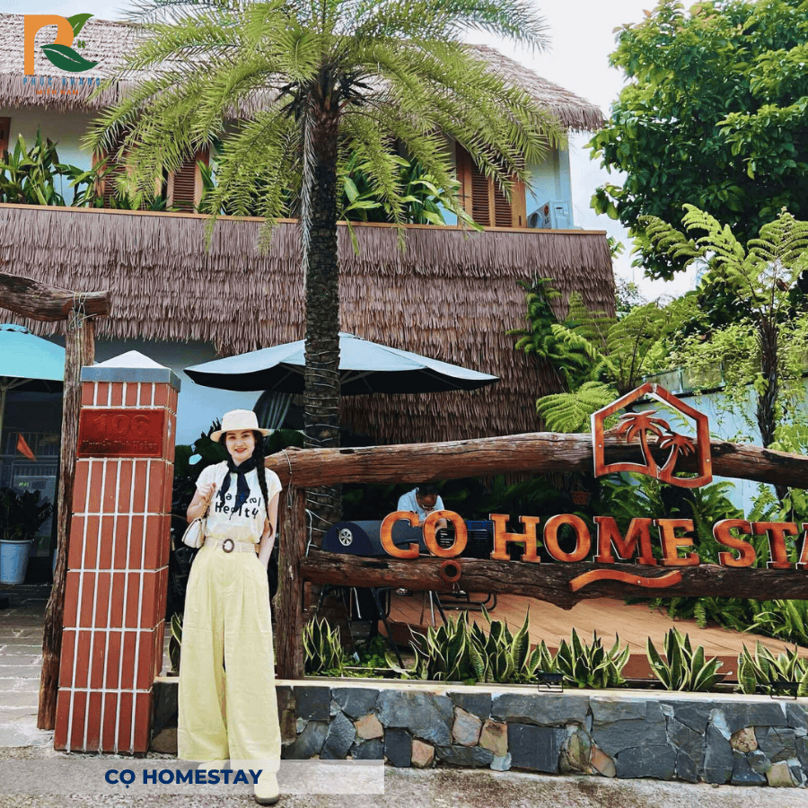 Cọ Homestay | Rơm Nhân Tạo Tại Buôn Ma Thuột – Nét Mộc Giữa Đại Ngàn 2025 1 Tọa lạc giữa lòng Buôn Ma Thuột – thủ phủ cà phê và văn hóa Tây Nguyên – Cọ Homestay là điểm dừng chân lý tưởng cho những ai yêu thiên nhiên và sự mộc mạc. Một trong những yếu tố làm nên dấu ấn riêng của homestay này chính là việc sử dụng rơm trong thiết kế mái che, tạo nên không gian gần gũi nhưng vẫn bền vững theo thời gian.