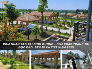 Rom nhan tao Binh Duong