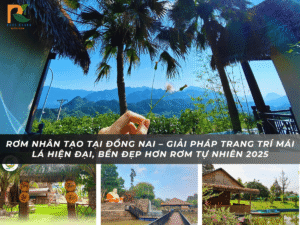 Rom nhan tao dong nai