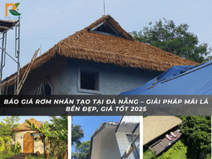 Rom nhan tao tai Da Nang 12