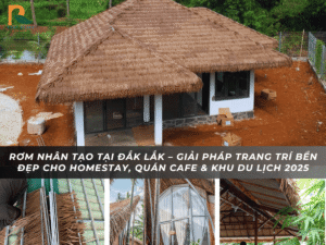 Rom nhan tao tai Dak Lak 2025