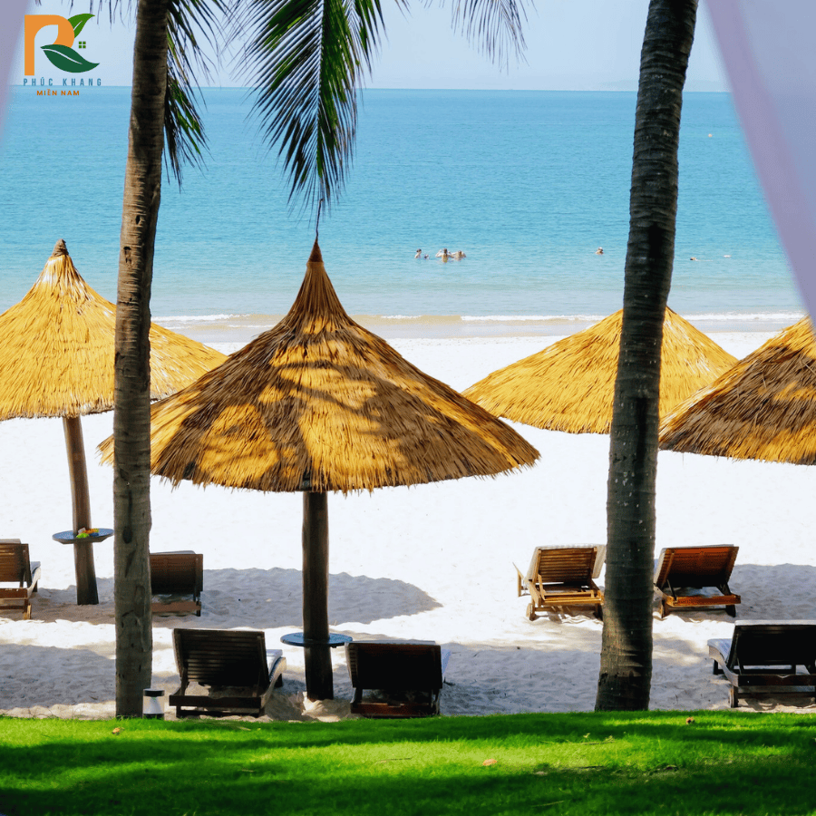 Rơm Nhân Tạo Tại Phan Thiết – Giải Pháp Mái Lá Bền Đẹp Cho Khu Du Lịch Biển 2025 4 Homestay tại Mũi Né sử dụng mái rơm nhân tạo giúp giữ vẻ đẹp thiên nhiên mộc mạc.