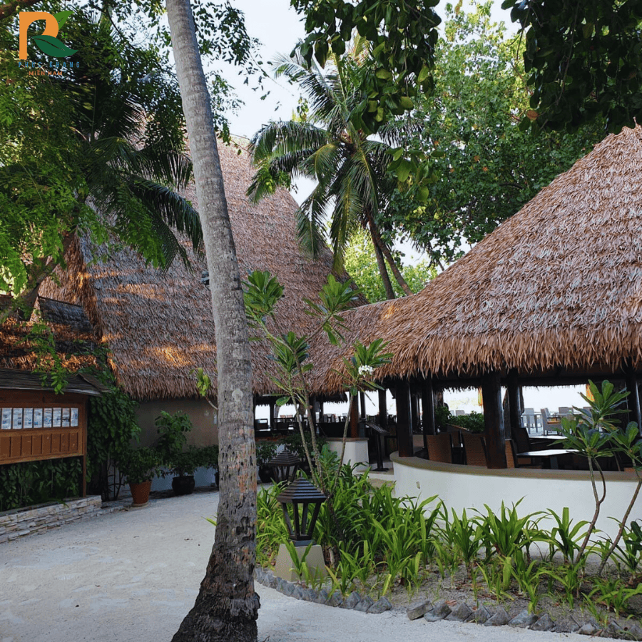 Rơm Nhân Tạo Tại Kiên Giang – Vật Liệu Lợp Mái Bền Đẹp Cho Du Lịch Sinh Thái Biển & Đảo 2025 2 Cận cảnh mái lá nhân tạo tại homestay Kiên Giang – đẹp như thật, không mối mọt.