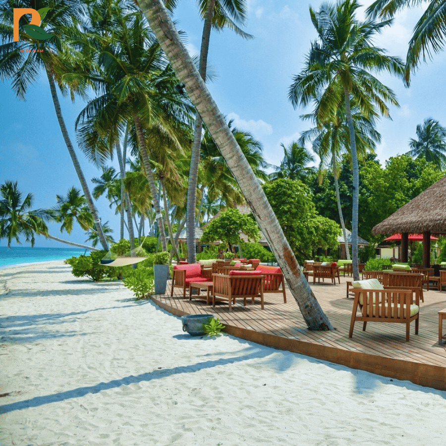 Rơm nhân tạo tại Mũi Né – Giải pháp mái lá bền đẹp cho resort và quán ven biển 2025 4 Rơm nhân tạo lợp mái bungalow tại Mũi Né – Chống nắng, chống mối mọt