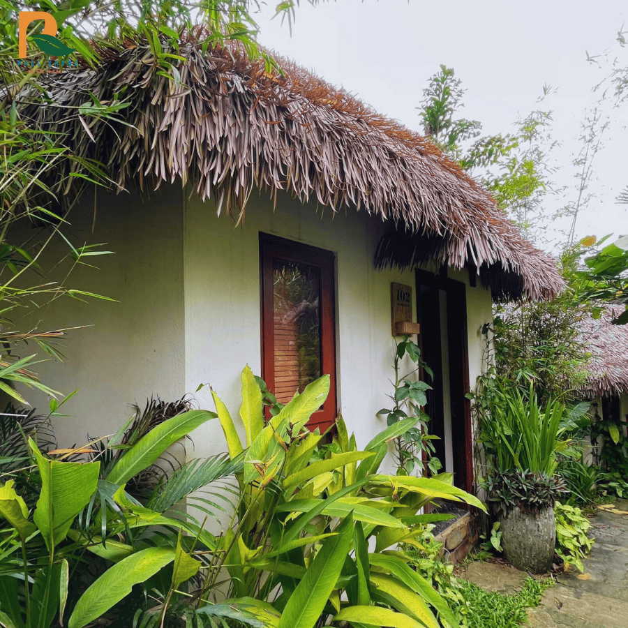 Rơm Nhân Tạo Tại Sapa – Lựa Chọn Mái Lợp Bền Đẹp Cho Resort, Homestay Vùng Núi 2025 2 Homestay sử dụng rơm nhân tạo tại Sapa – tạo cảm giác mộc mạc, gần gũi nhưng vẫn sạch sẽ và thẩm mỹ.