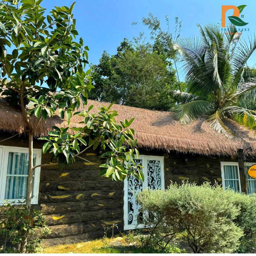 Guột Nhân Tạo Đồng Nai – Công Trình Tại Homestay 34 Thảo Thiện Garden 4 Mái guột hoàn thiện