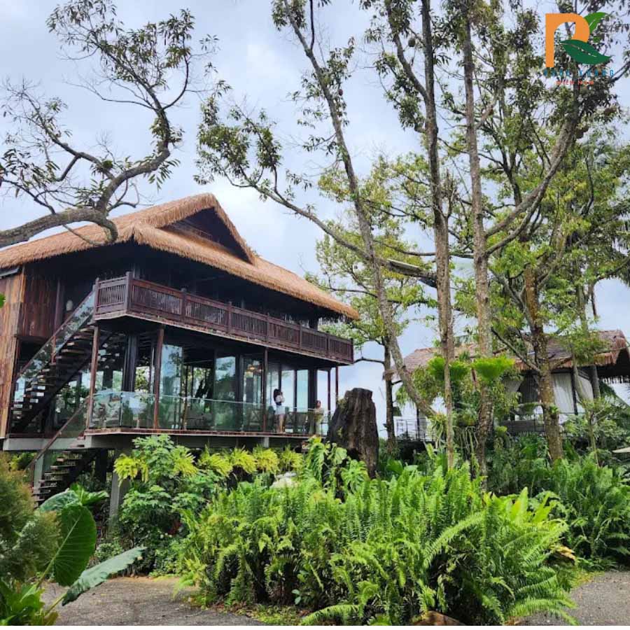 Rơm Nhân Tạo Đăk Lăk - Công Trình Thực Tế Tại Cinéart Laforesta Cafe Buôn Mê Thuột 2025 11 Một góc khác tại Cineart Laforesta Cafe