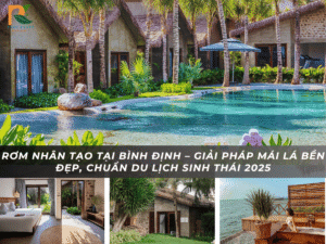 rom nhan tao tai Binh dinh 2025