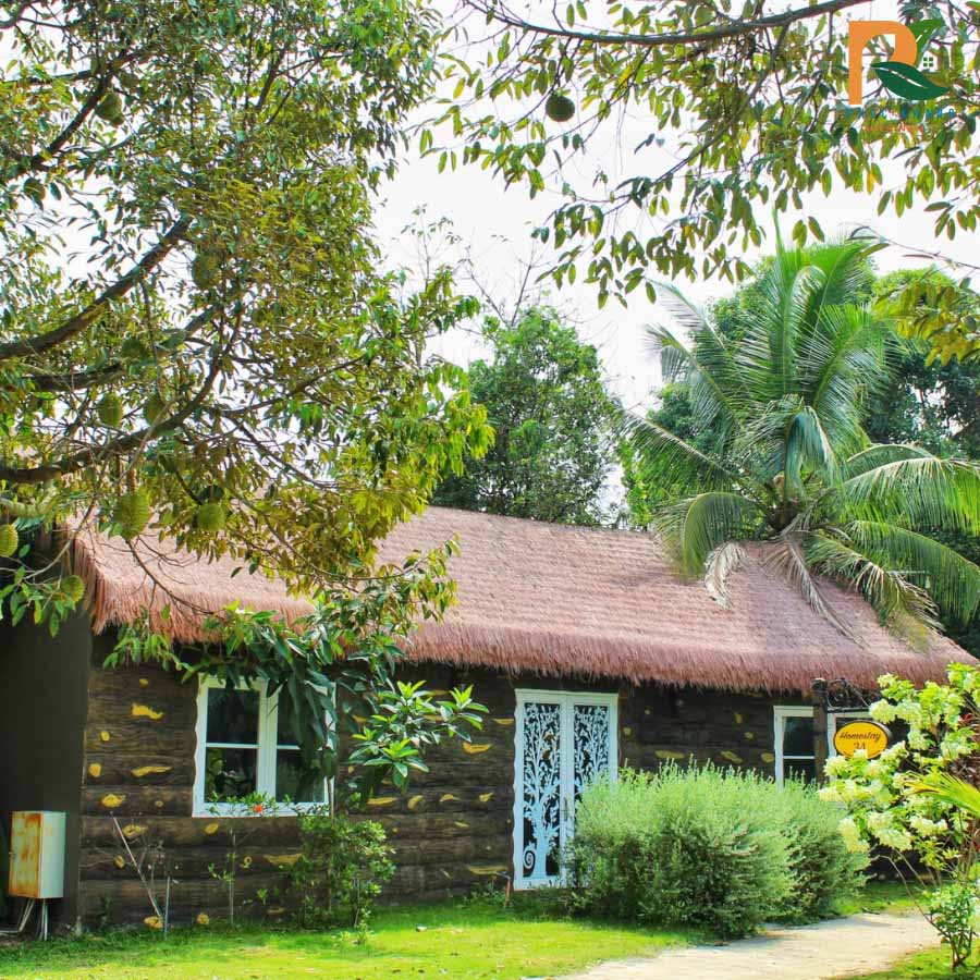 Guột Nhân Tạo Đồng Nai – Công Trình Tại Homestay 34 Thảo Thiện Garden 5 Toàn cảnh công trình guột nhân tạo tại homestay 34