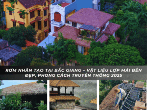 Rom nhan tao Bac Giang