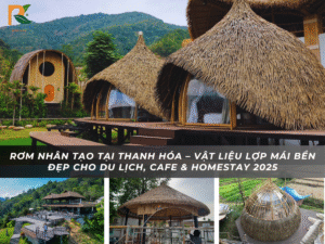 Rom nhan tao tai Thanh Hoa 2 1