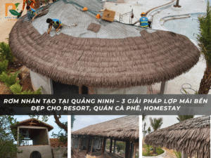 Rom nhan tao 3